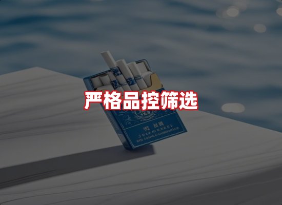 专业团队